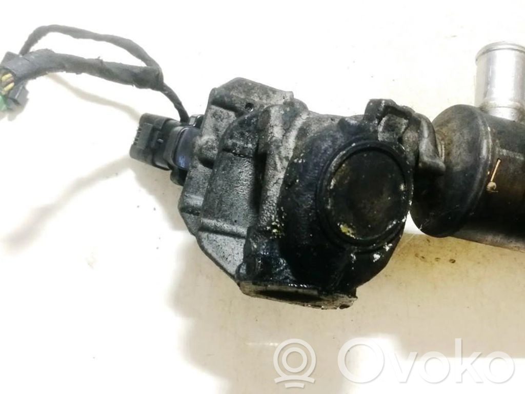 EGR-venttiili   9649358780,215975181,215975181,42900311,9649358780