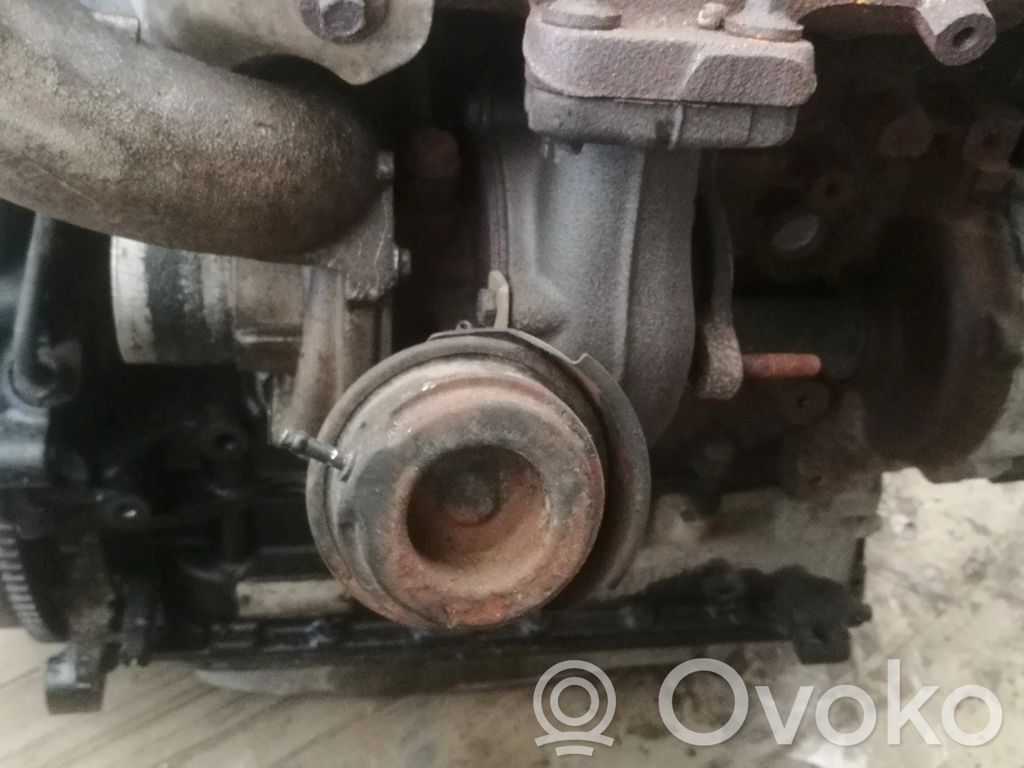 Turbo   7180898,276239,276239,7180898