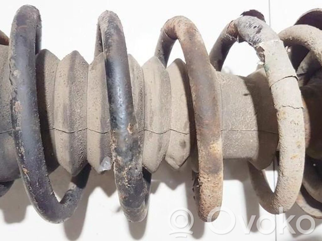 Front coil spring   5233796,5233796