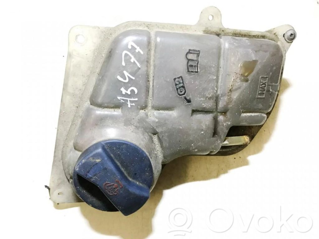 Volkswagen PASSAT B5 Vas expansiune/rezervor lichid de răcire 