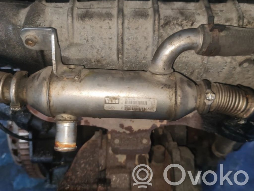 Citroen C5 Valvola di raffreddamento EGR 