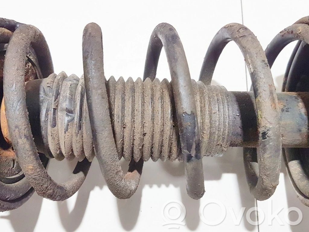 Front coil spring