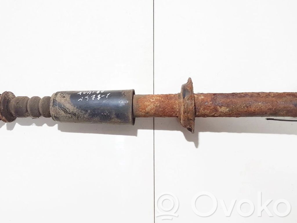 Stoßdämpfer hinten