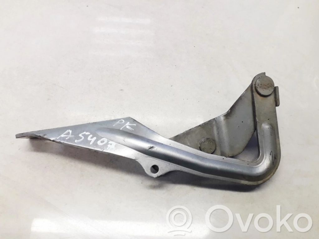 Engine bonnet/hood hinges