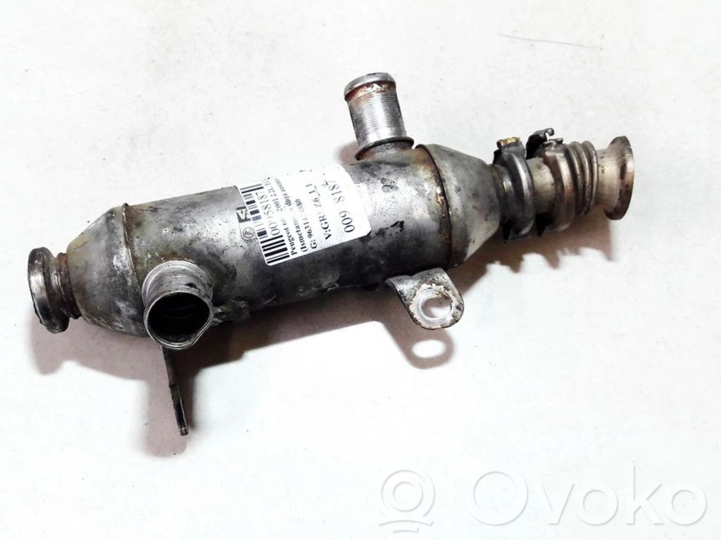 Peugeot 607 Răcitor supapă EGR 