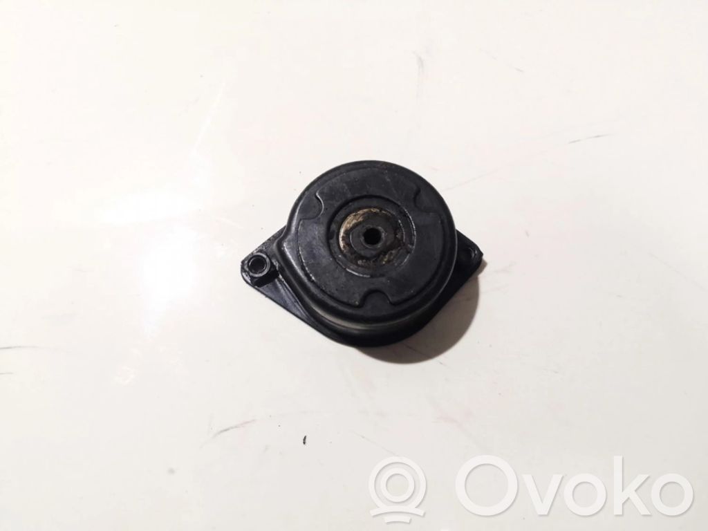 BMW X5 E53 Tendicinghia generatore/alternatore 