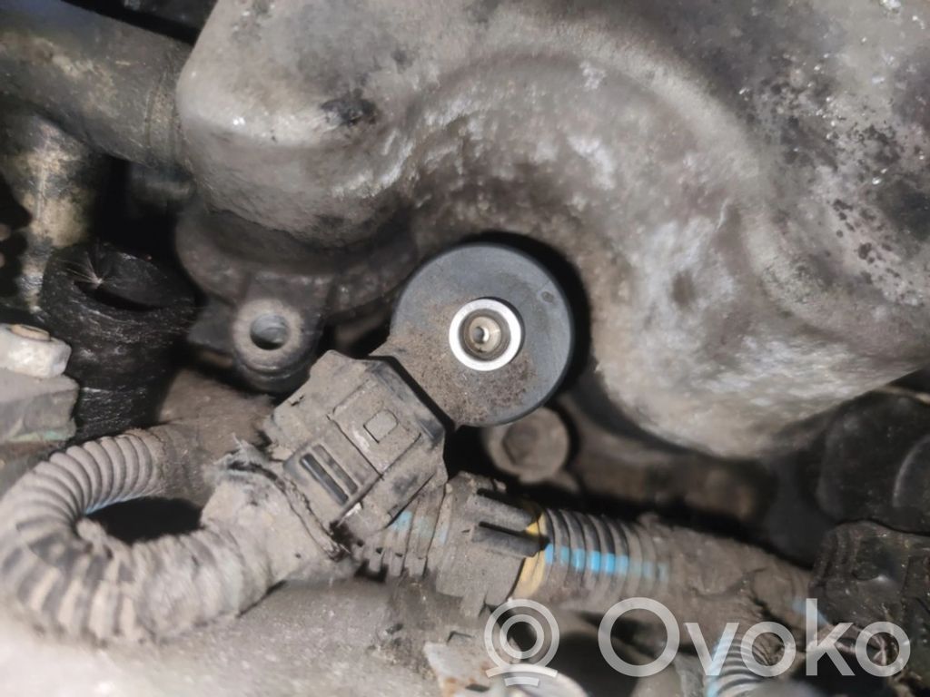 Inyector de combustible   0445110002,0445110002