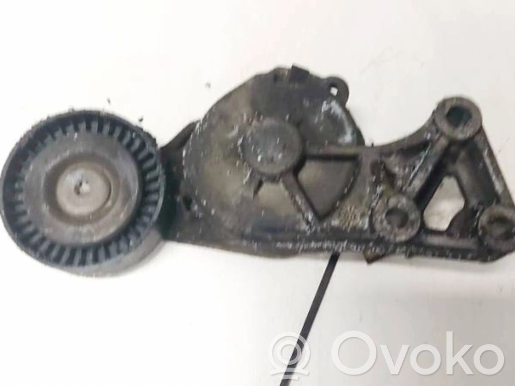 Napinacz paska alternatora   950672,0372,0372,950672