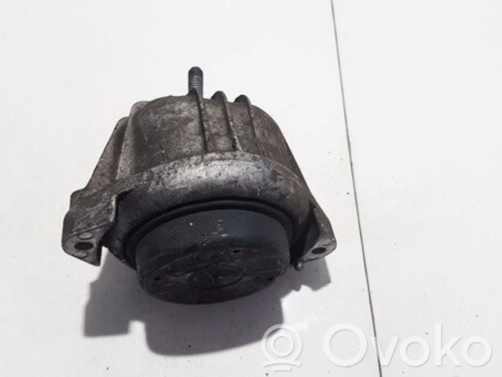 Dzinēja spilvens   13981112,13981112GE,13981112,13981112GE