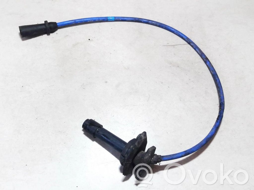 Ignition plug leads