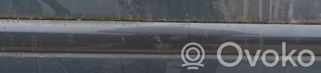 Audi A4 S4 B6 8E 8H Rivestimento della portiera anteriore (modanatura)