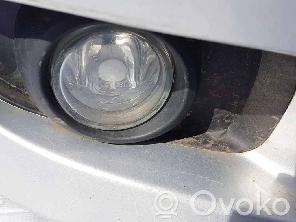 Nebelscheinwerfer vorne