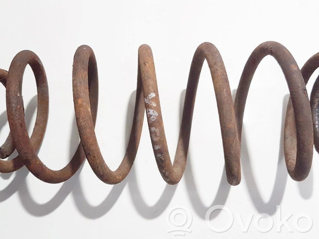 Muelle espiral trasero