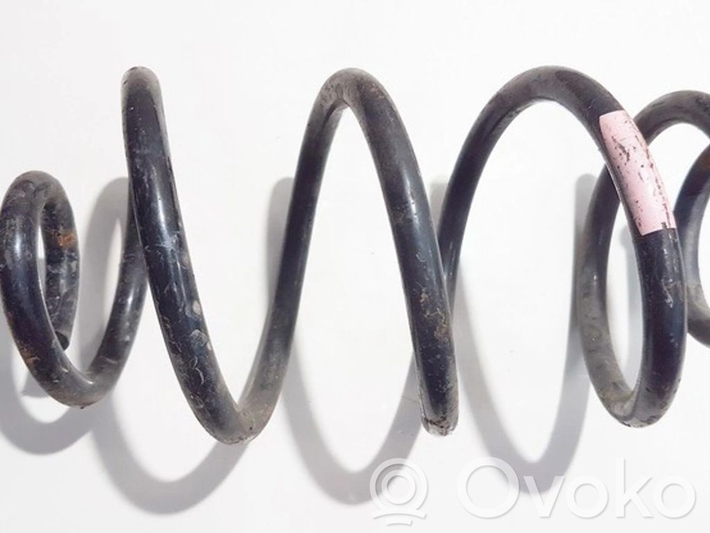 Rear coil spring