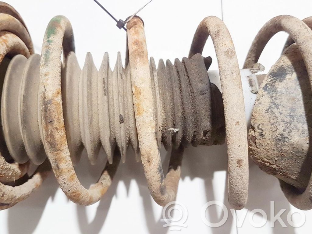Front coil spring
