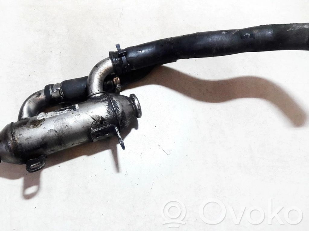 Peugeot 806 Refrigerador de la válvula EGR 