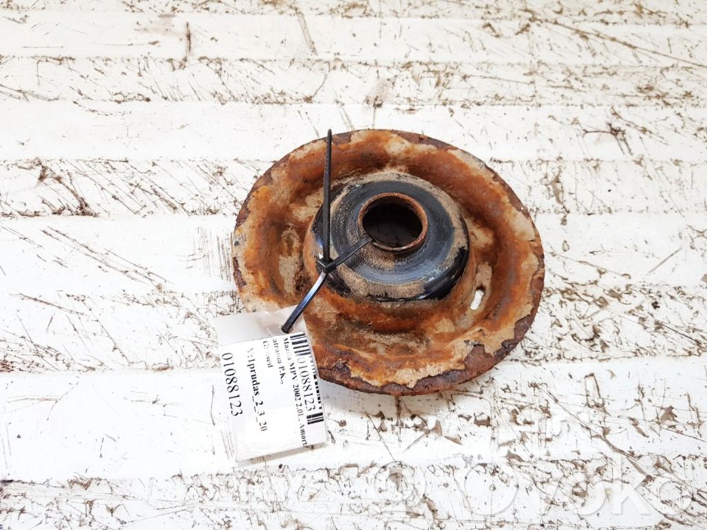 Coil spring mount