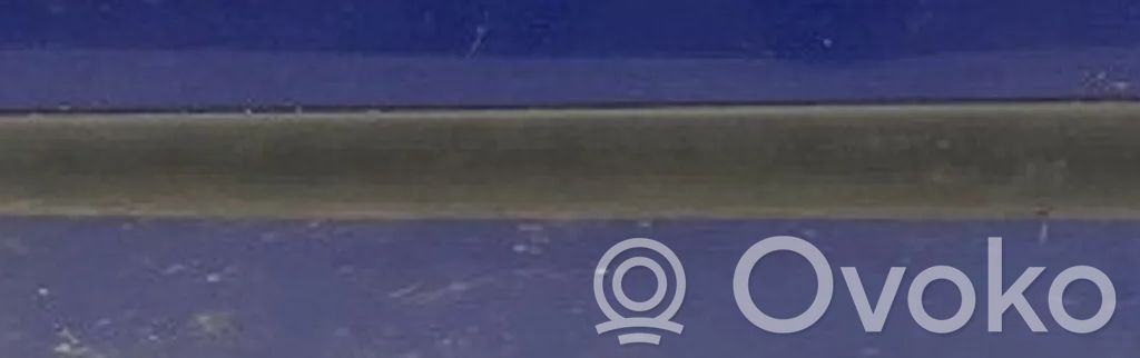Ford Fiesta Mască ușă față (turnată)