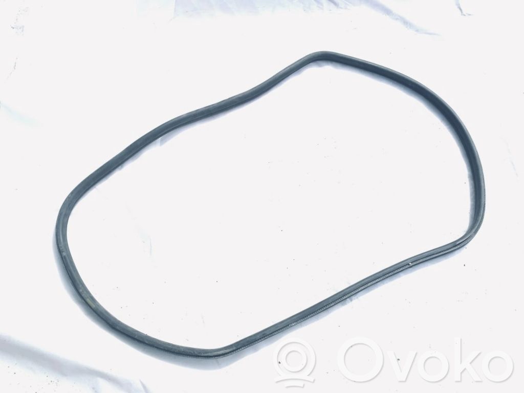 BMW 3 F30 F35 F31 Gummidichtung Tür hinten