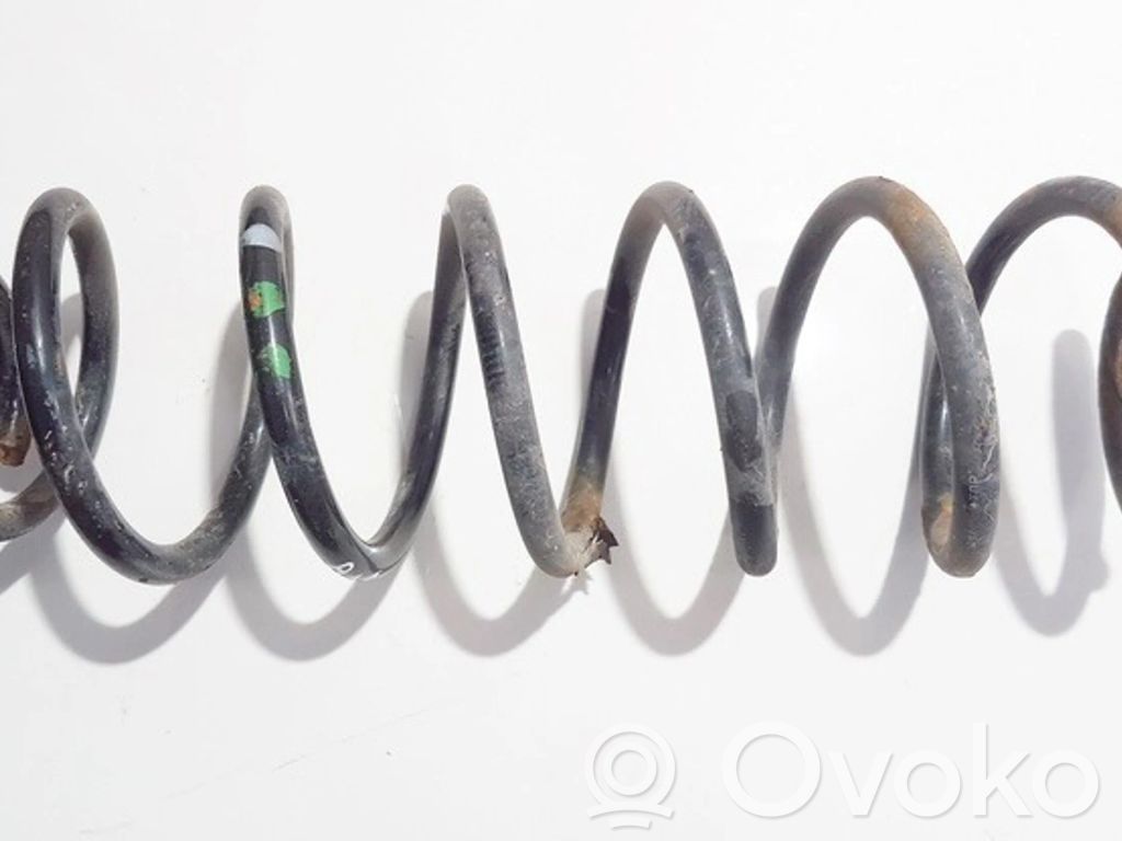 Muelle espiral trasero