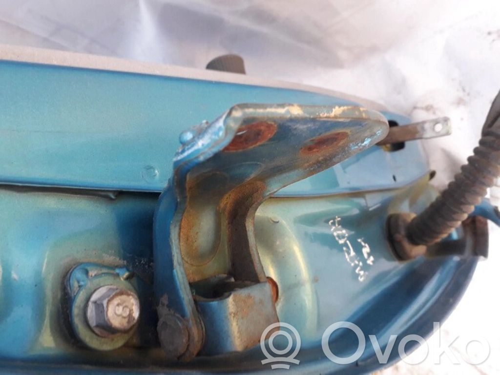 Rear door lower hinge