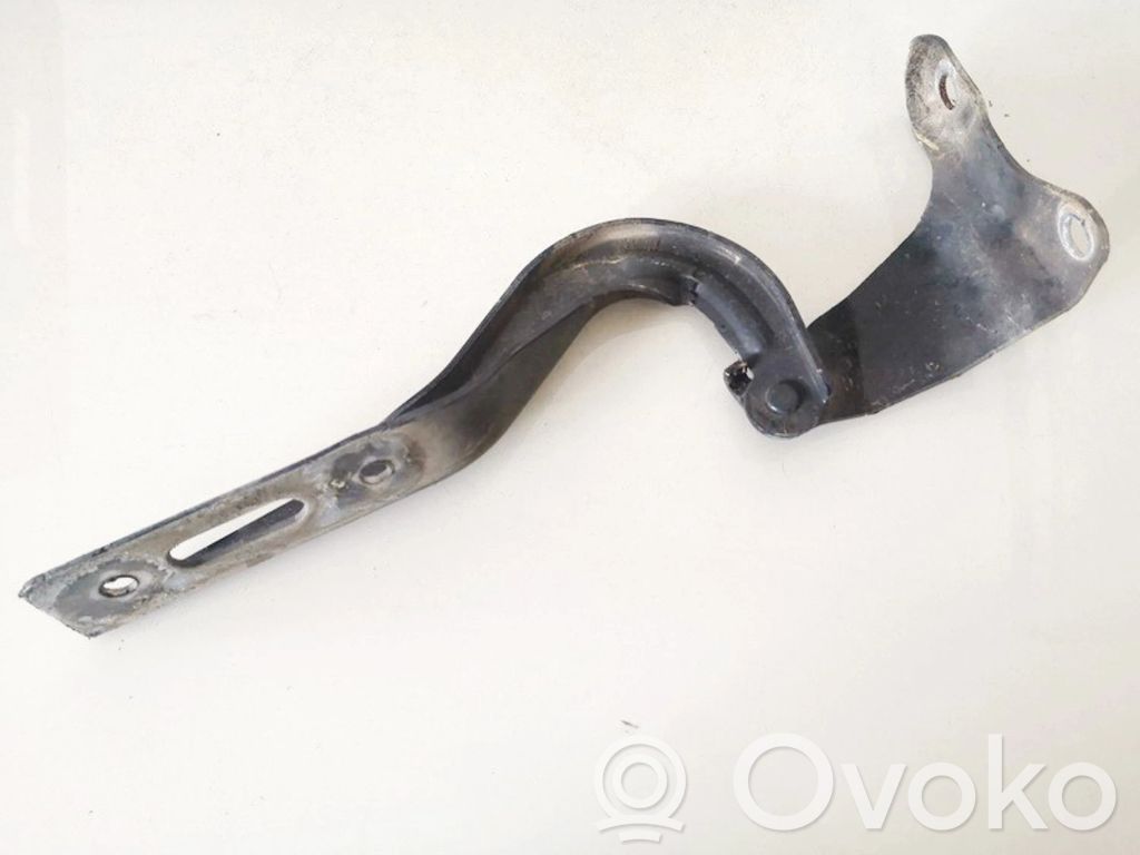 Cerniere del vano motore/cofano