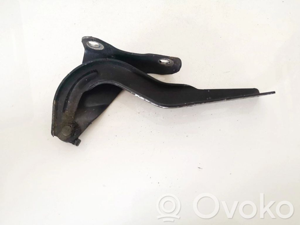 Cerniere del vano motore/cofano