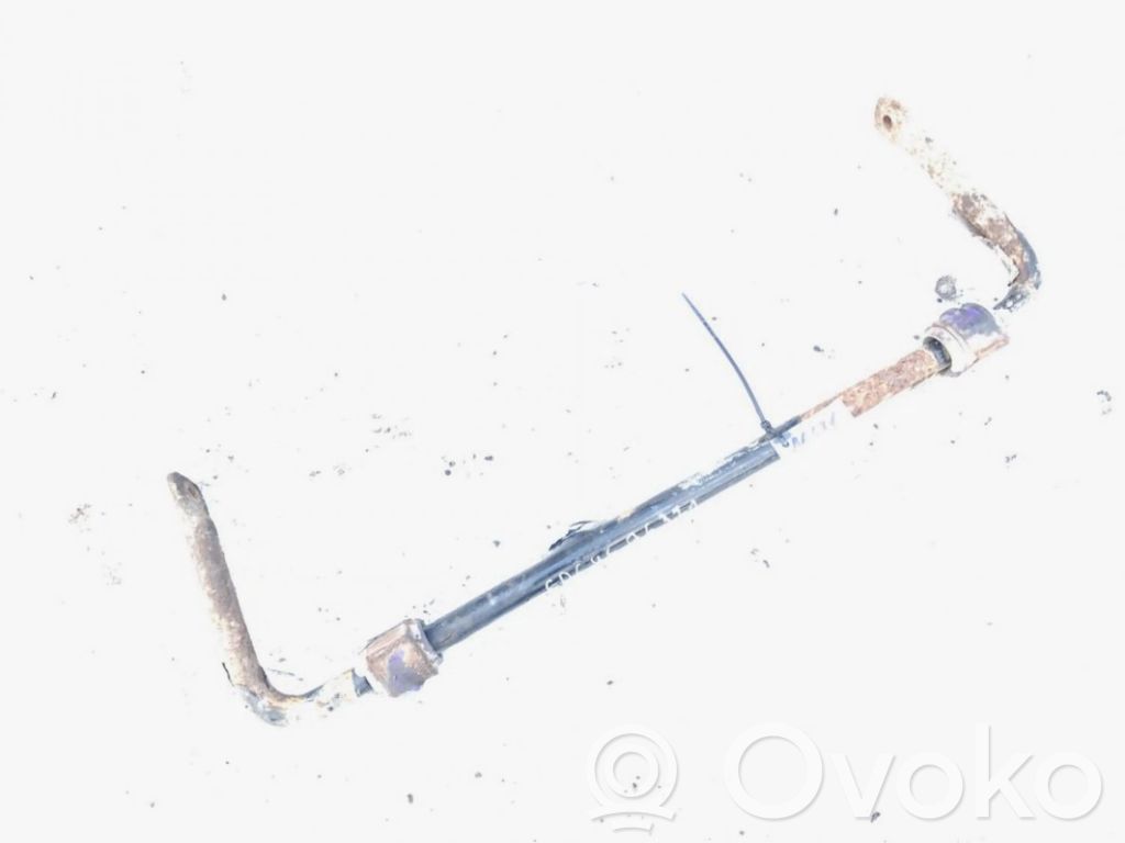 Galinis stabilizatorius