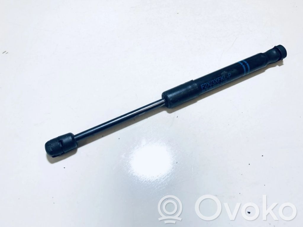 BMW 1 F20 F21 Ammortizzatore portellone anteriore/cofano 