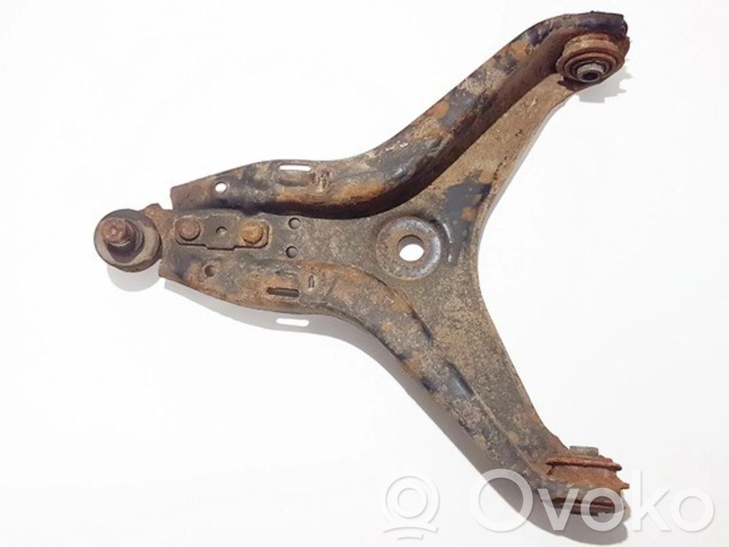 Front lower control arm/wishbone