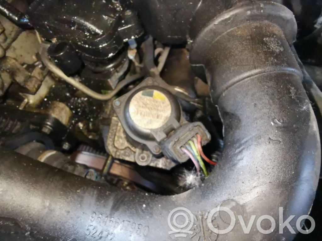 Válvula EGR   9649358480,215975053,215975053,42430122,9649358480