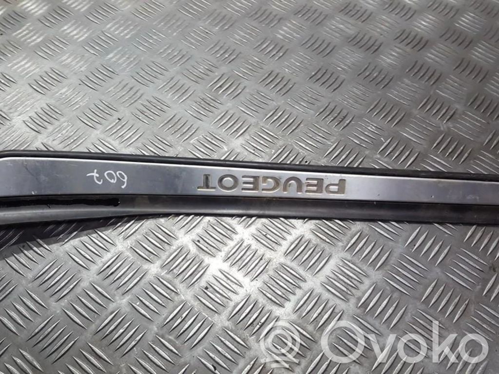 Peugeot 607 Capac prag spate