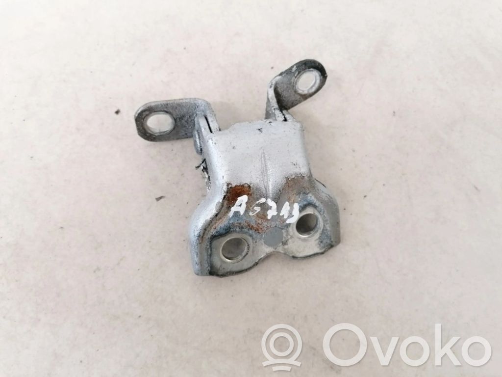 Rear door lower hinge