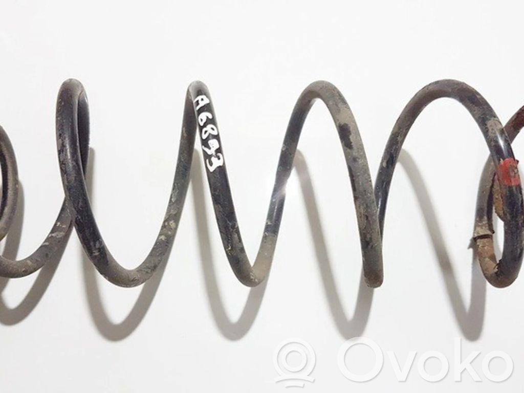 Rear coil spring