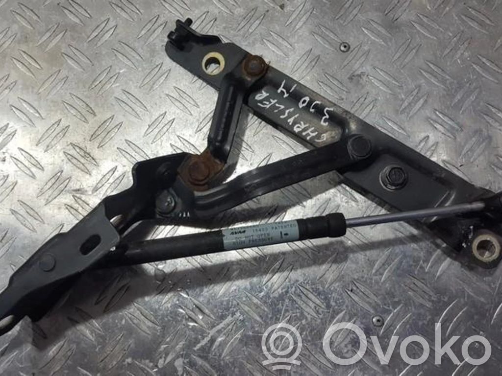 Tailgate/trunk/boot hinge   4575666AD,4575666AD