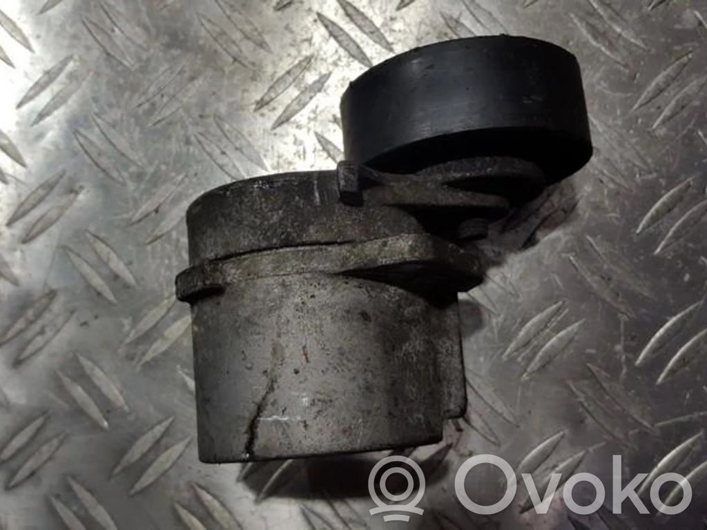BMW 3 E46 Napinacz paska alternatora 