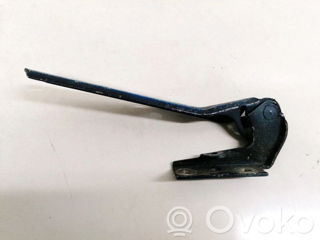 Volkswagen PASSAT B5.5 Balamale capotă