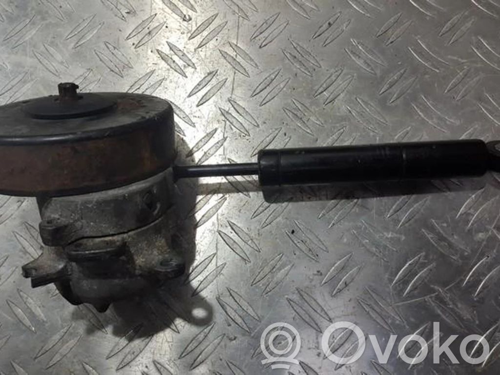 Mercedes-Benz SLK R170 Tendicinghia generatore/alternatore 