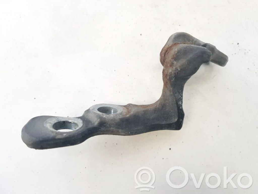 Rear door lower hinge   9940,9940