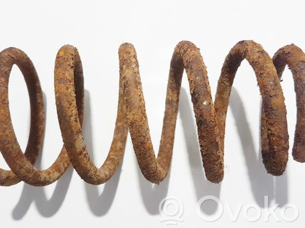 Sprężyna tylna