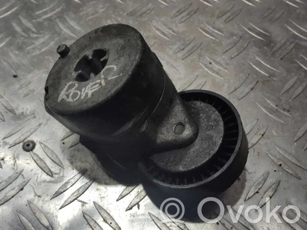 Tendicinghia generatore/alternatore   PQG100190,PQG100190