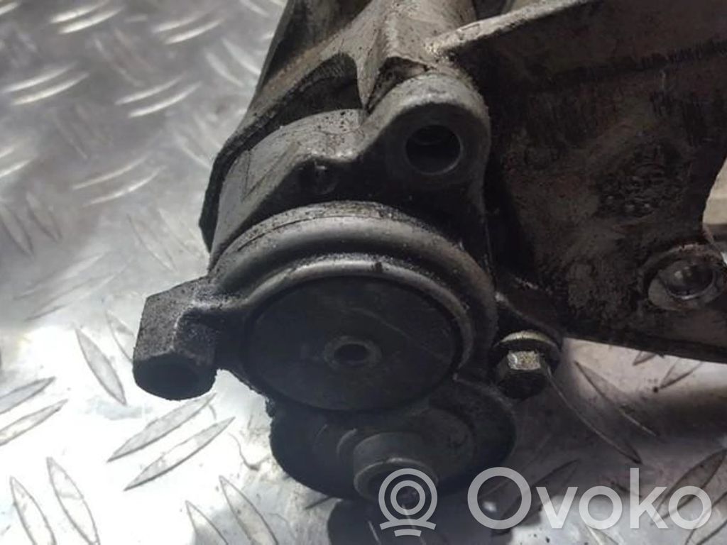 Land Rover Freelander Tensor de correa del alternador 