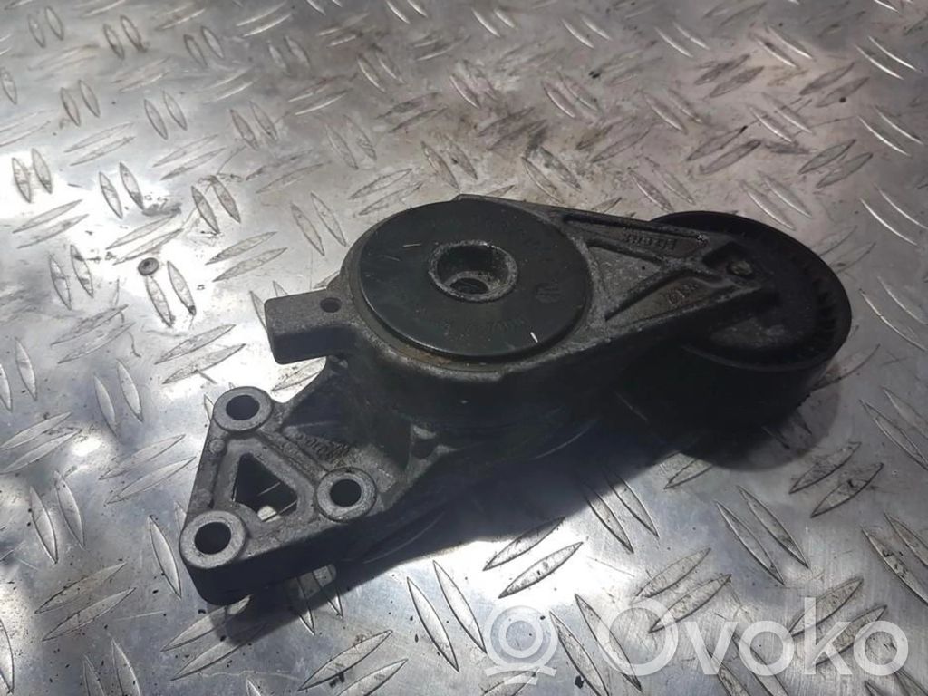 Volkswagen PASSAT B6 Întinzător curea generator/alternator 