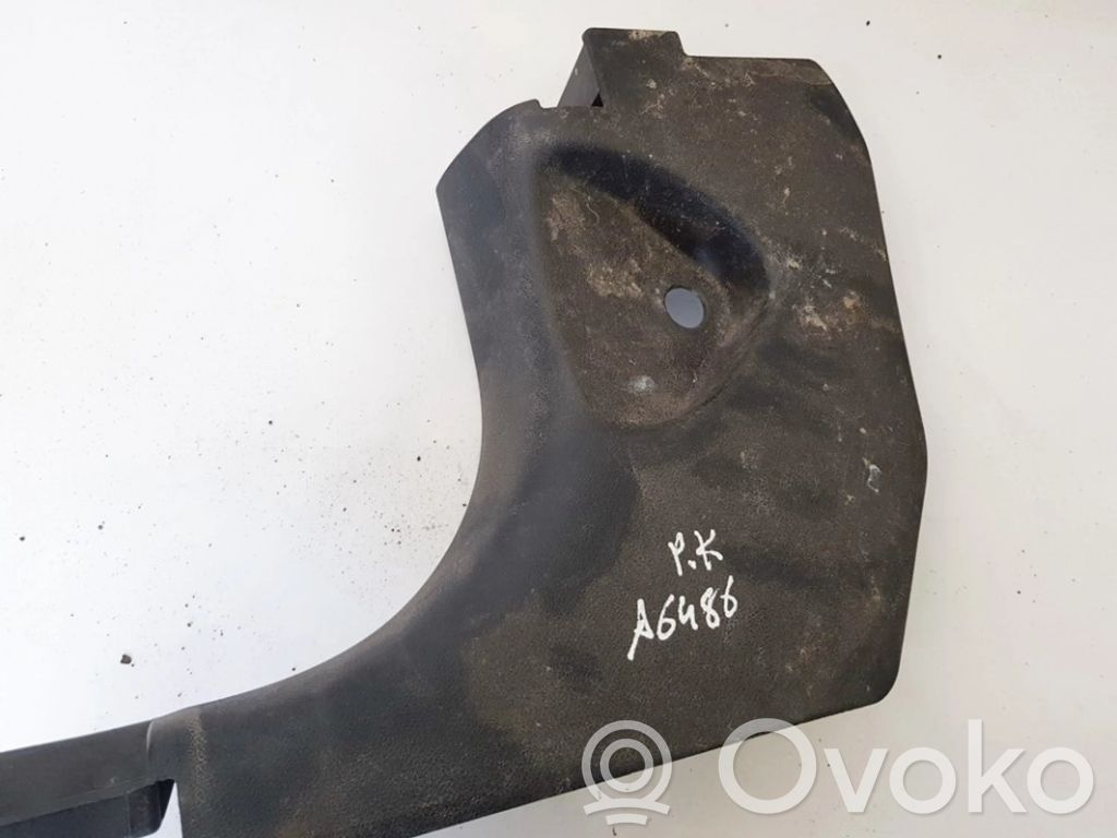 Renault Laguna III Altra parte interiore