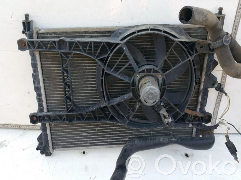 Renault Laguna I Radiator lichid răcire 