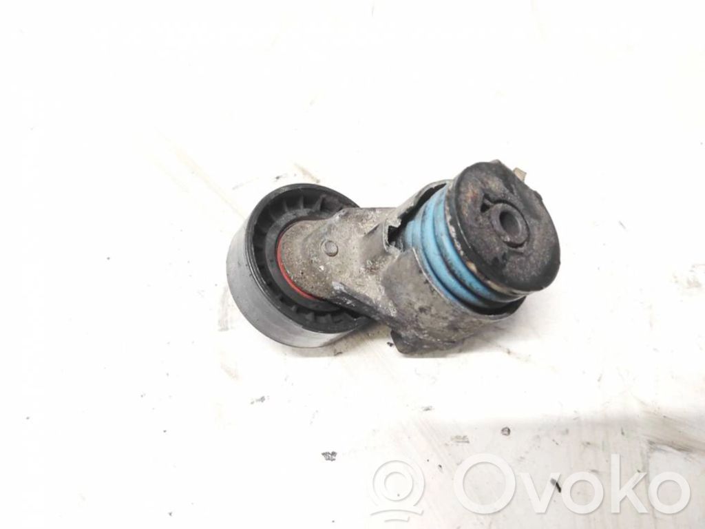 Nissan Almera N16 Întinzător curea generator/alternator 