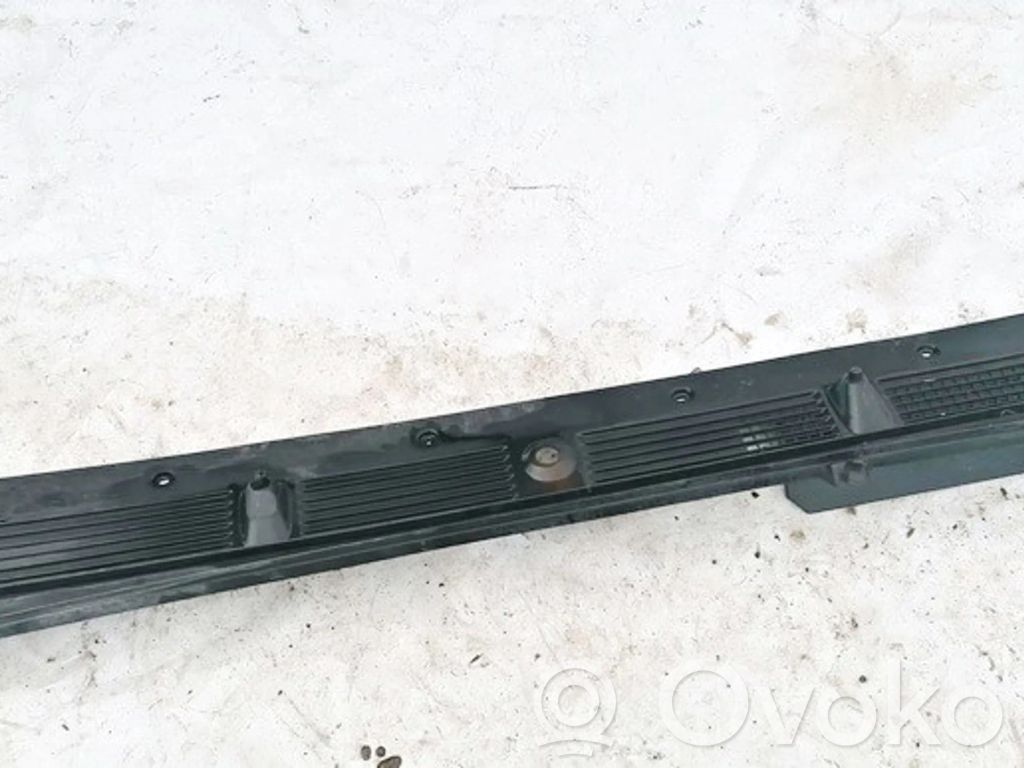 Peugeot Boxer Moldura del limpia