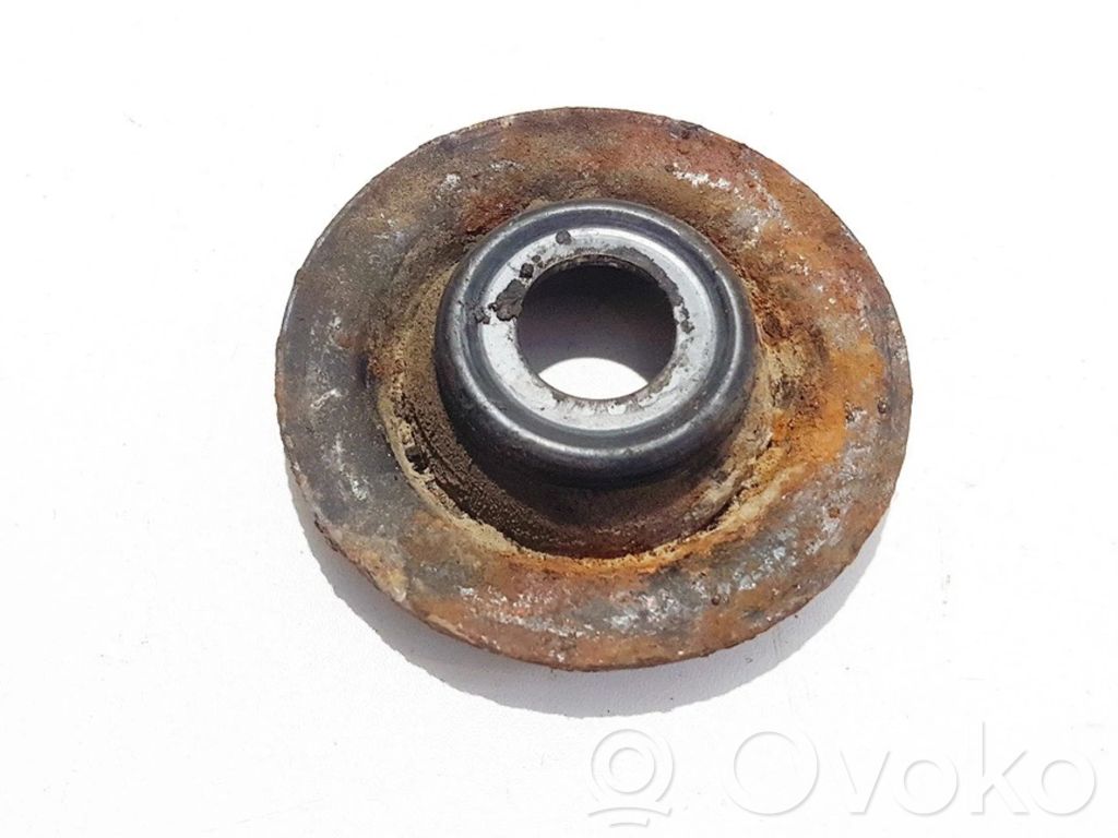 Coil spring mount
