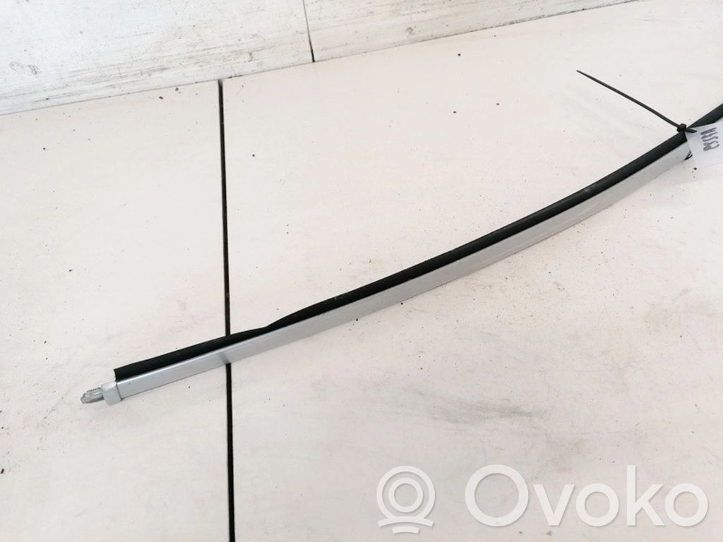 Volvo S60 Rear door glass trim molding