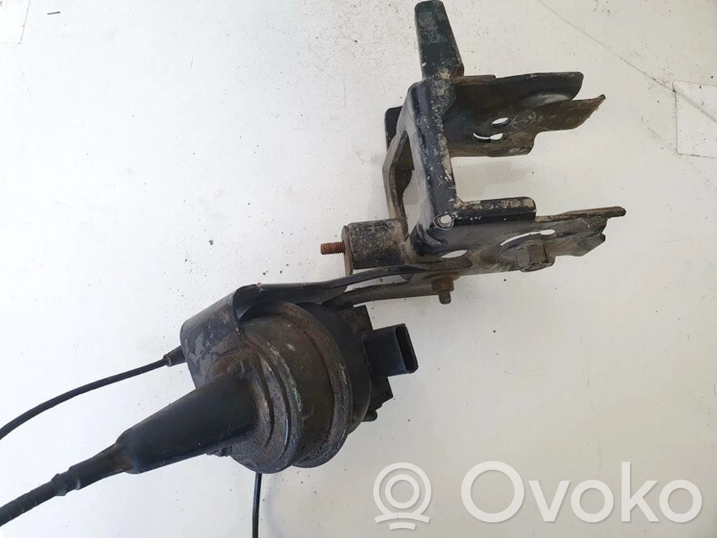 Cruise control unit/module   60043D,60043D